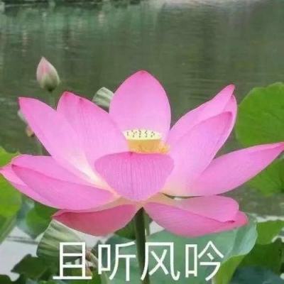 中合生态农业科技有限公司总经理袁昊武接受监察调查